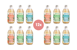 Discovery pack - 12x Infusades in bottles