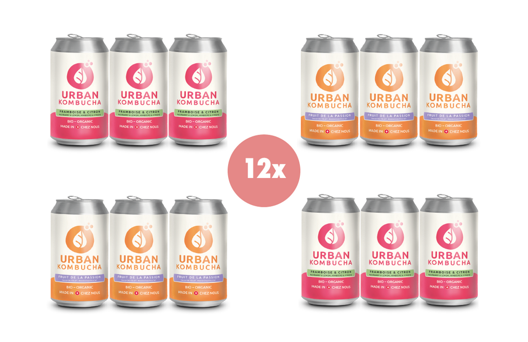 Discovery pack - 12x kombucha in cans